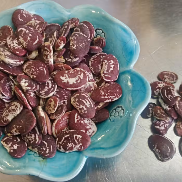 لوبیا عروس محلی بدون کود - 500 گرمی