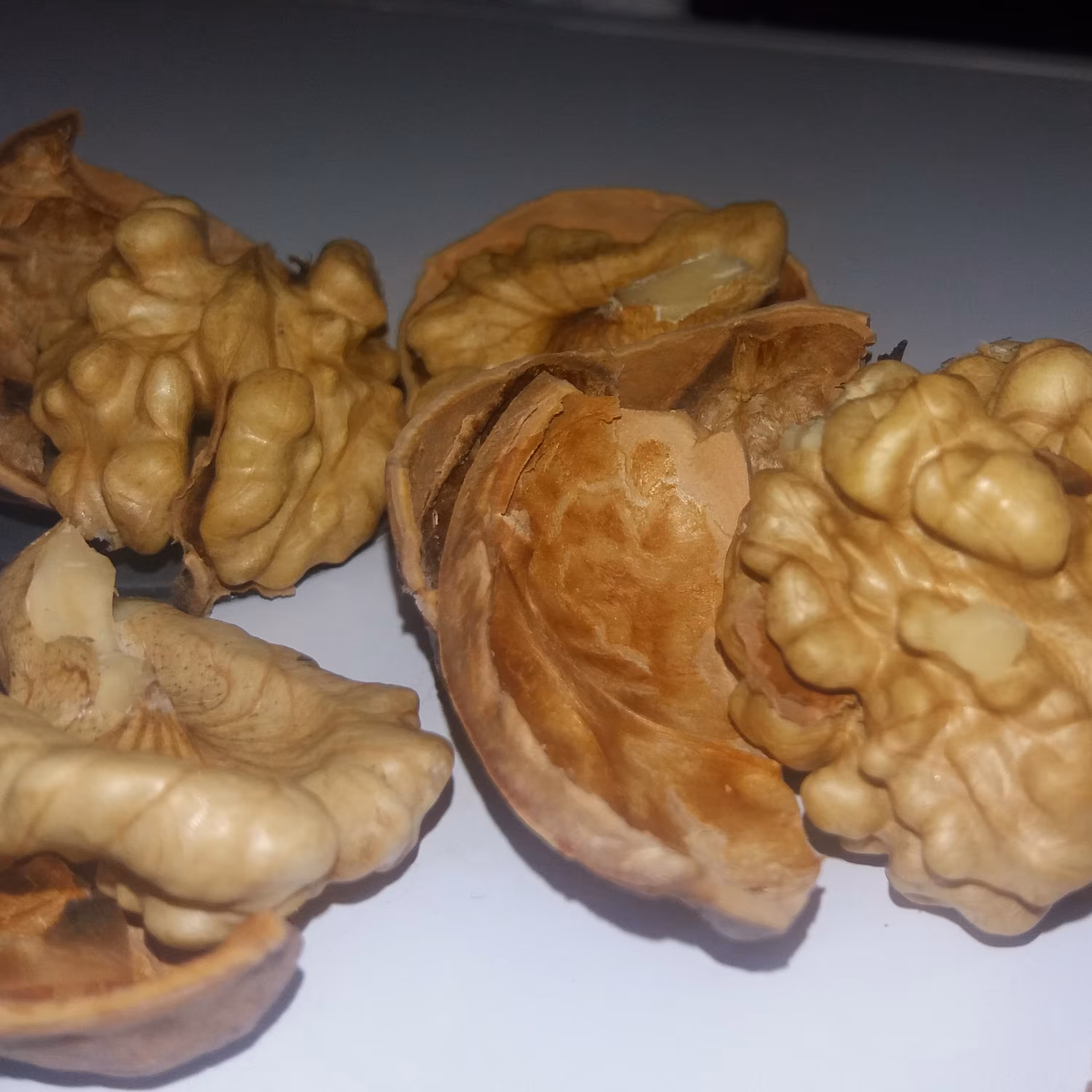 گردو پوست نازک خوش طعم بومی تفرش (نه خارجی...)شهریور 1402