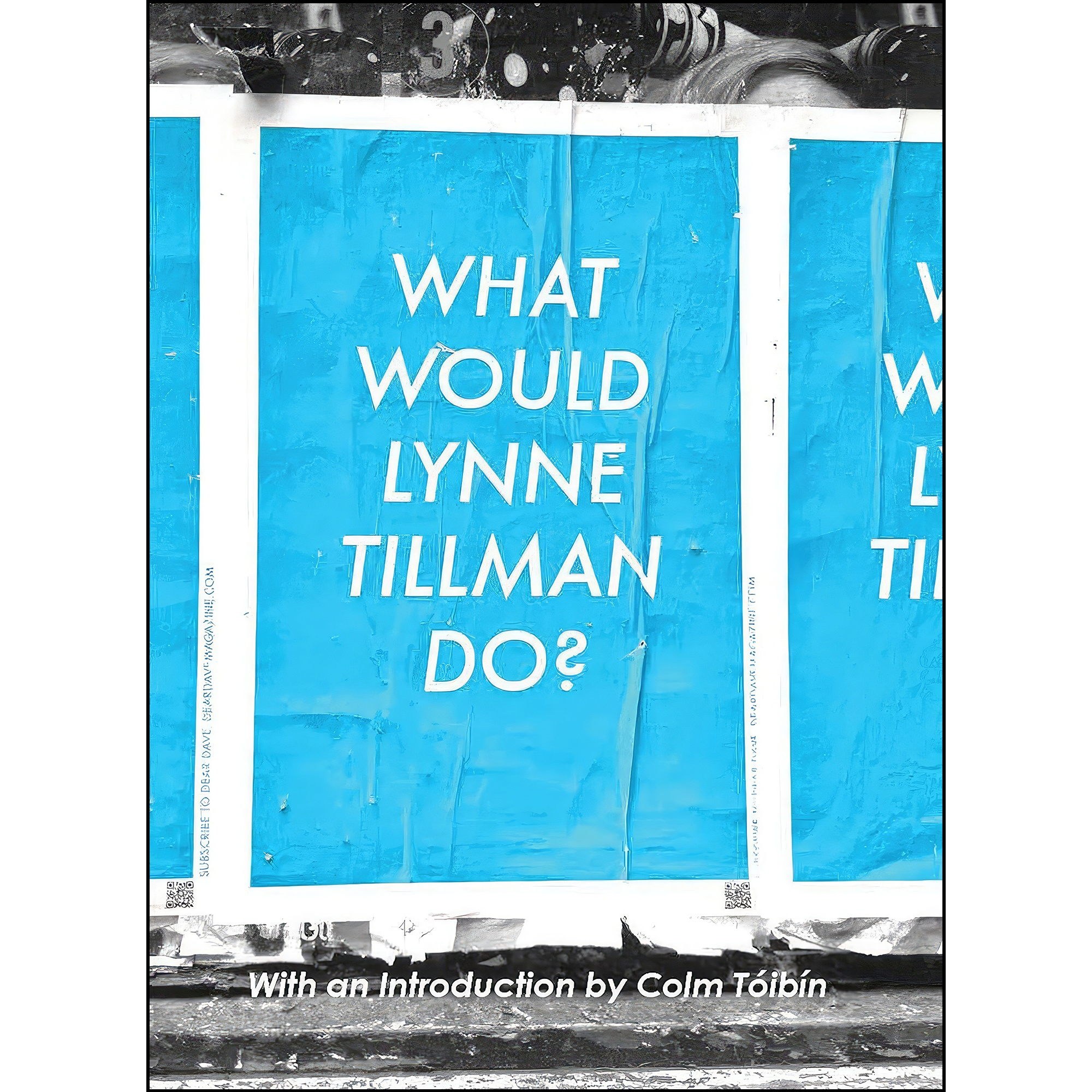 کتاب زبان اصلی What Would Lynne Tillman Do اثر Lynne Tillman and Colm Toibin