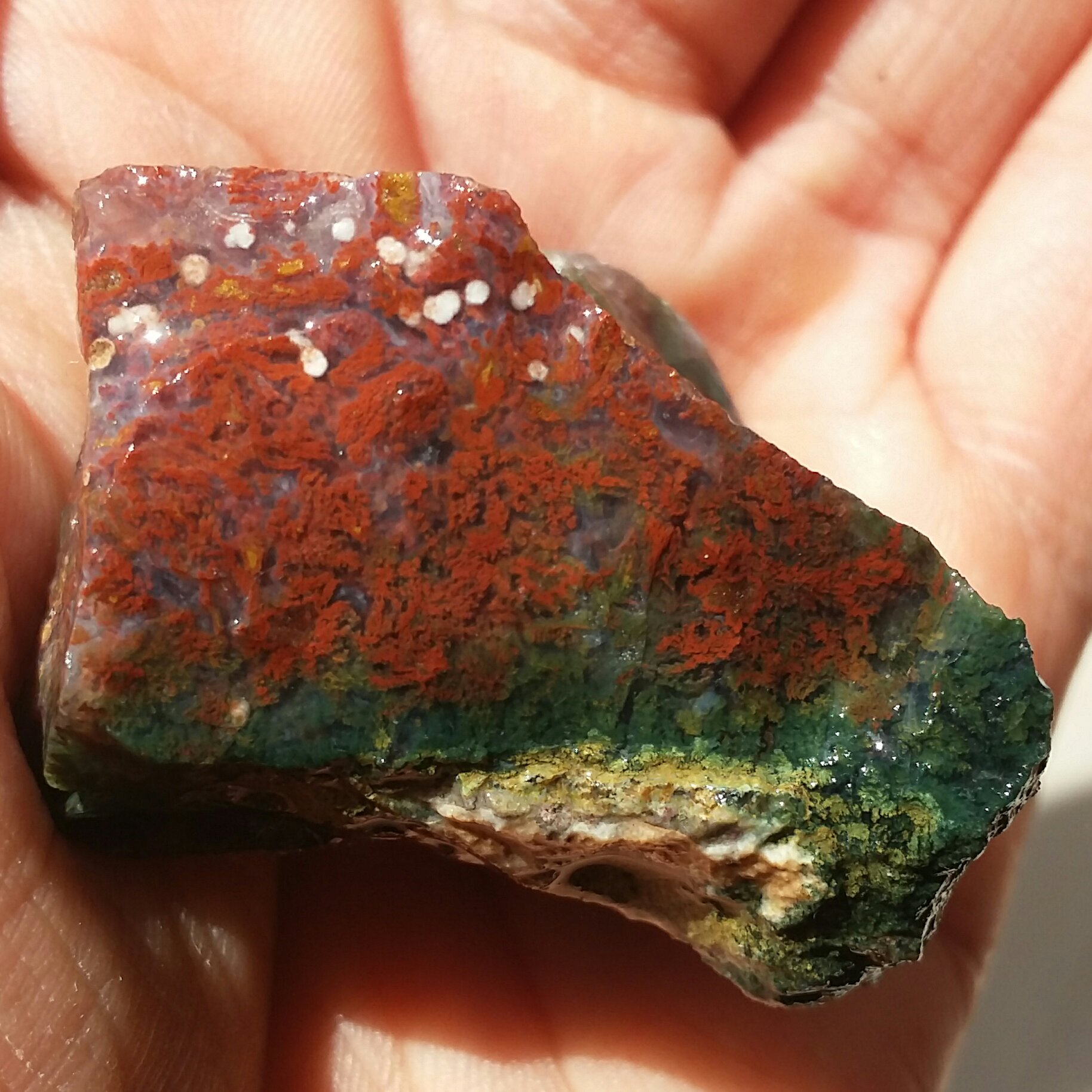  سنگ راف شجر منظره 7رنگ محشررر کاملا طبیعی
تابلو نقاشی طبیعی زیبااااااا