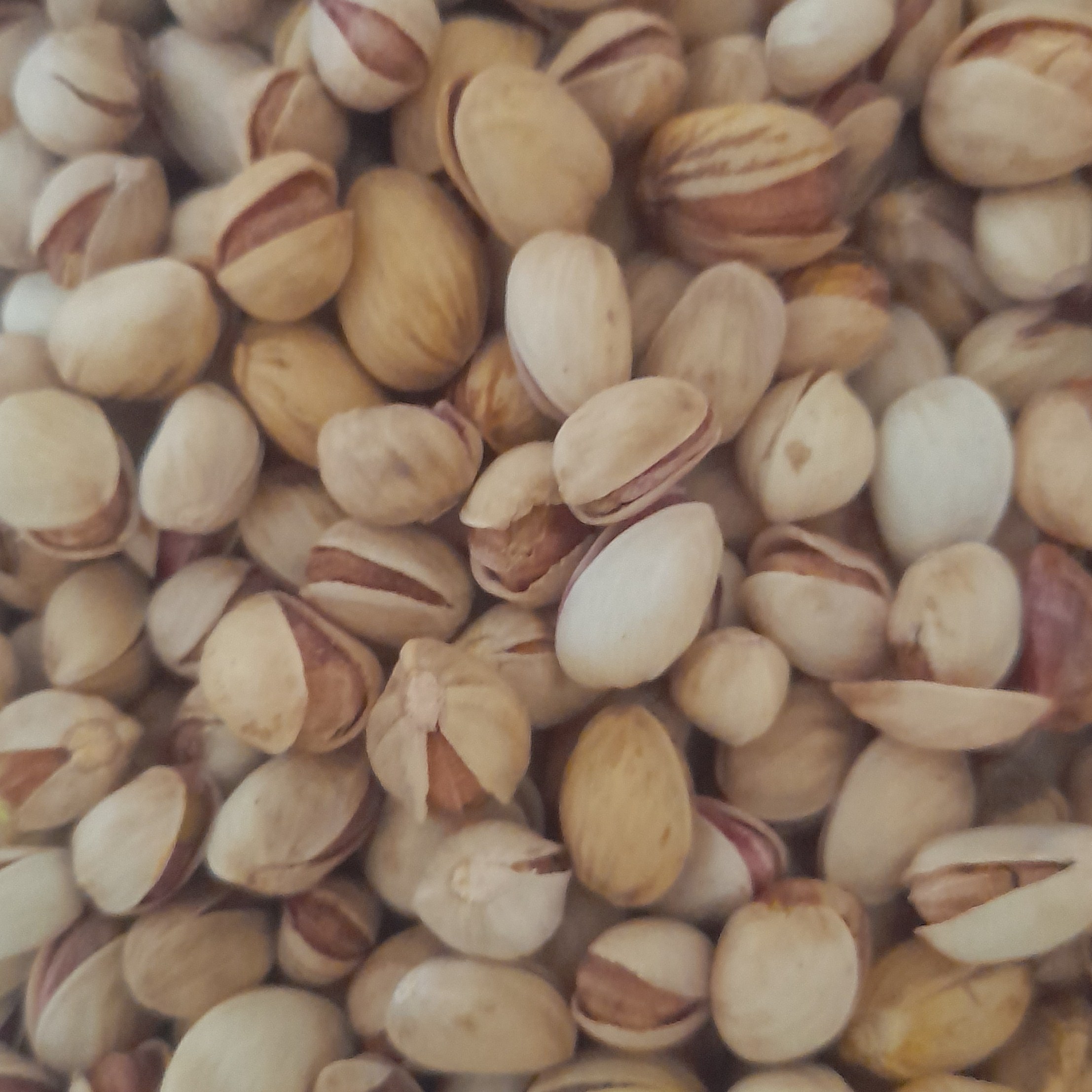 پسته نخودی ( یک کیلویی )