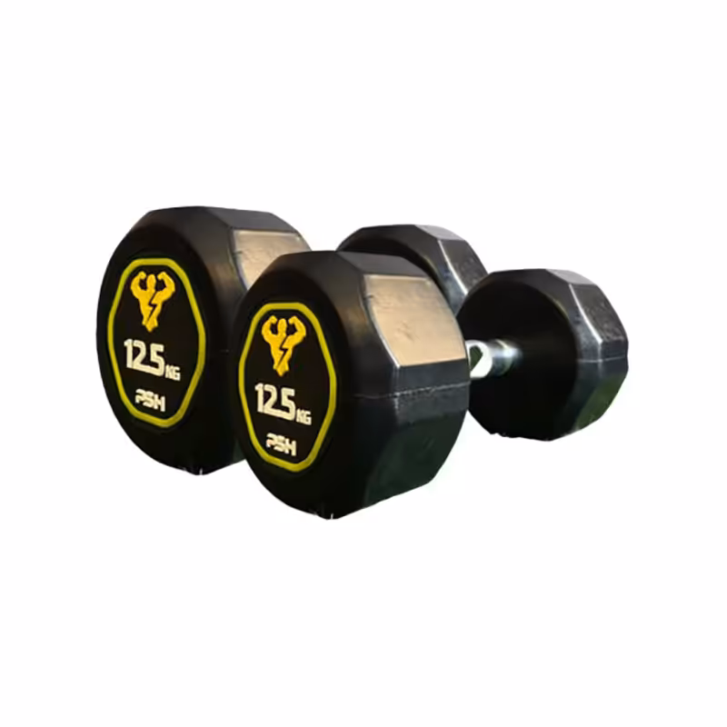 دمبل گرد استوپ دار 12.5 کیلوگرمی PSH بسته دو عددی