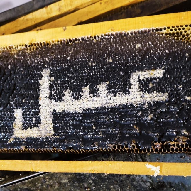 عسل طبیعی