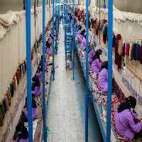 طرح توجیهی احداث کارگاه قالیبافی - Tarhtojihi.org