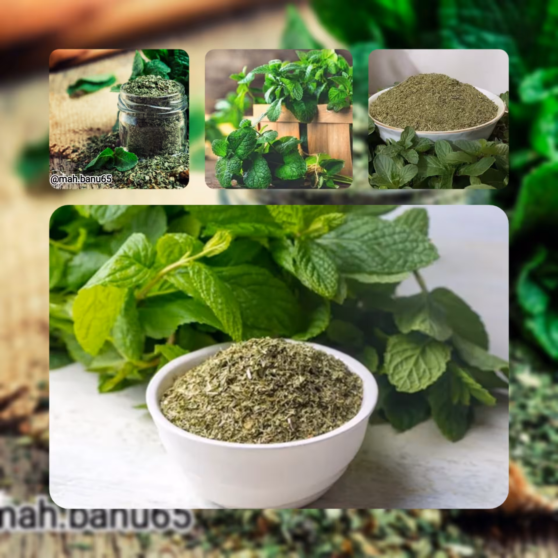 نعنا خشک ارگانیک 