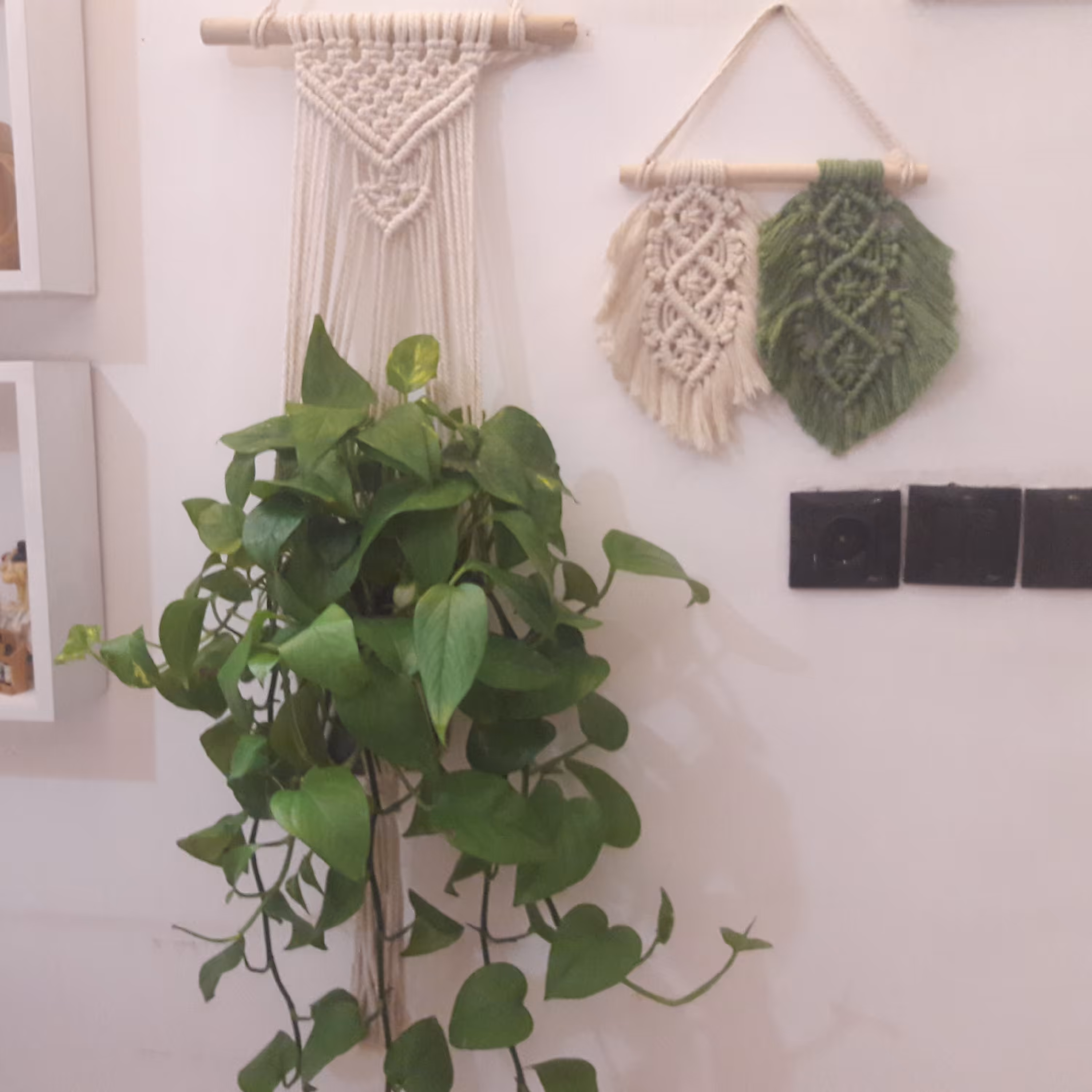 آویز گلدان مکرومه رنگ شیری تلفیقی چوب و نخ مکرومه 4 میل