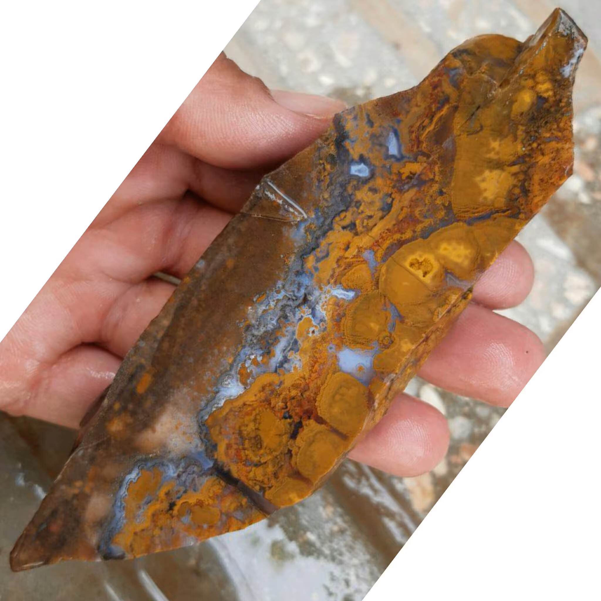 اسلایس شجر پاییزی کویری خاااااااص دیدنی کاملا طبیعی