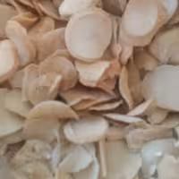 موسیر خشک شیرین شده کوهی چهارمحال وبختیاری(5000گرم)