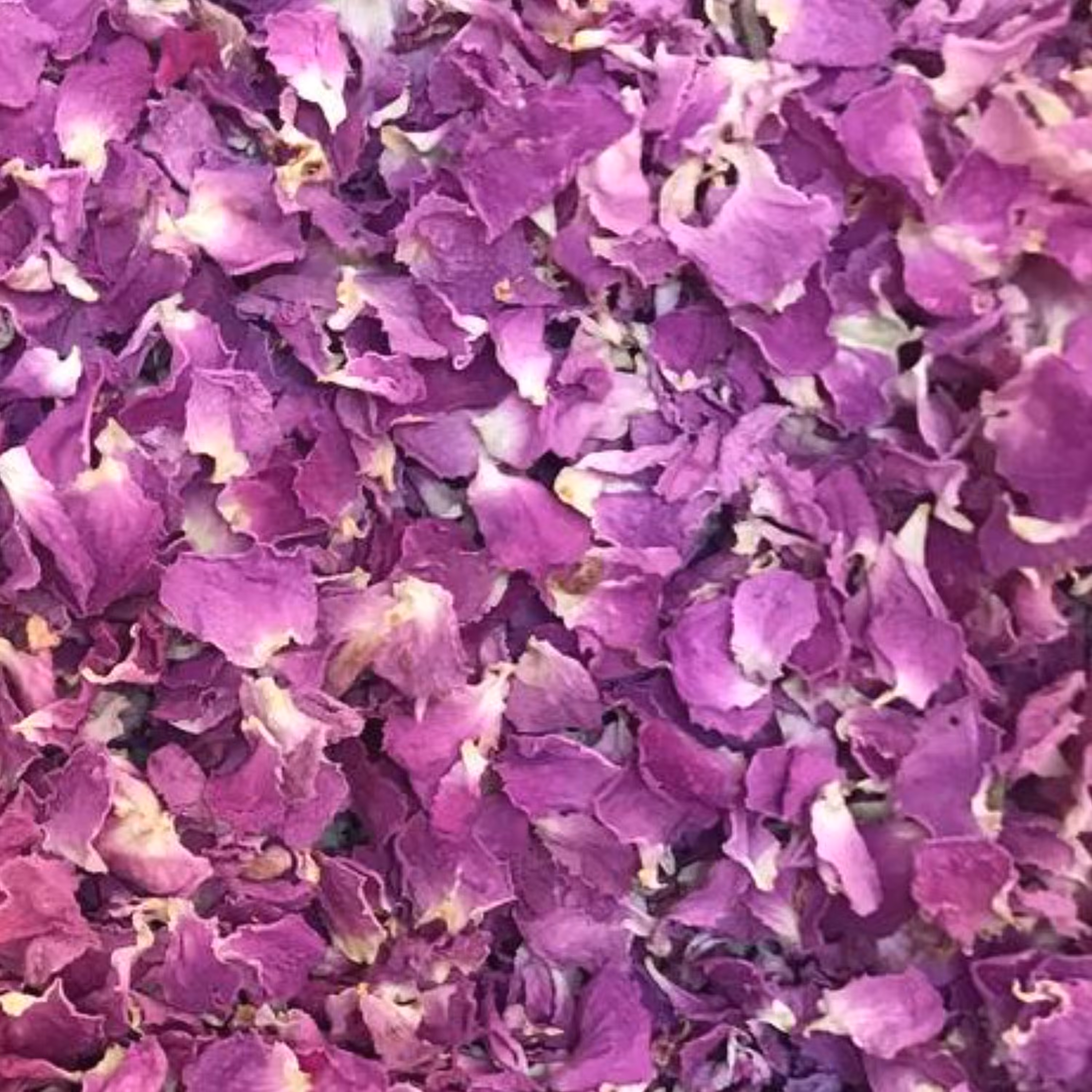 گلبرگ گل محمدی 50 گرمی