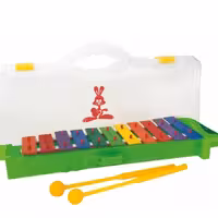 بلز سالار همراه با خودآموز موسیقی 