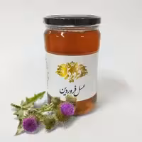 عسل خارکیوار خام و طبیعی فروردین ساکارز 3.1 پرولین 690 (850گرمی) ارسال رایگان