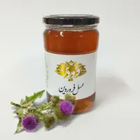 عسل خارکیوار خام و طبیعی فروردین ساکارز 3.1 پرولین 690 (850گرمی) ارسال رایگان