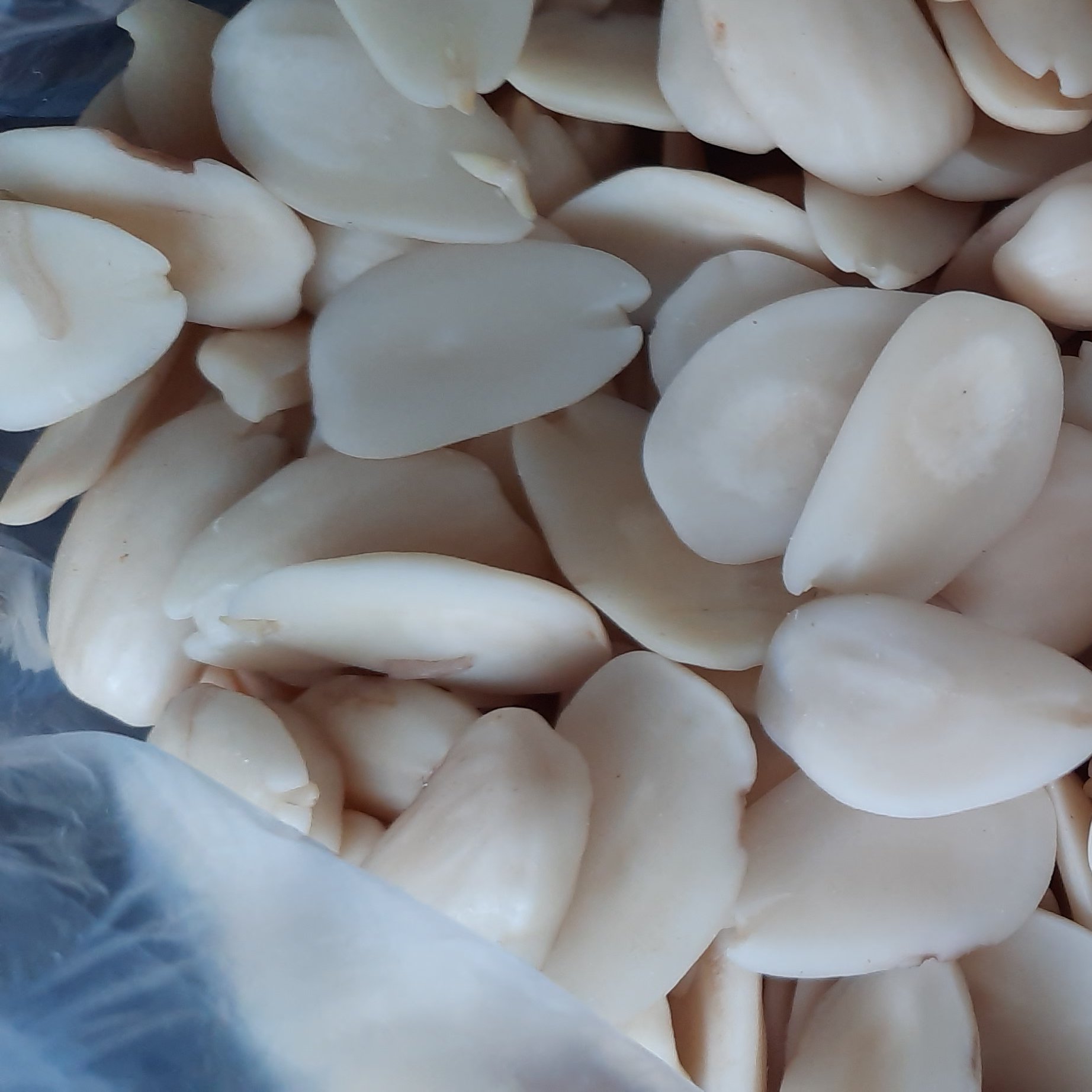 مغز شیرین شده هسته زرد آلو(تندچه)