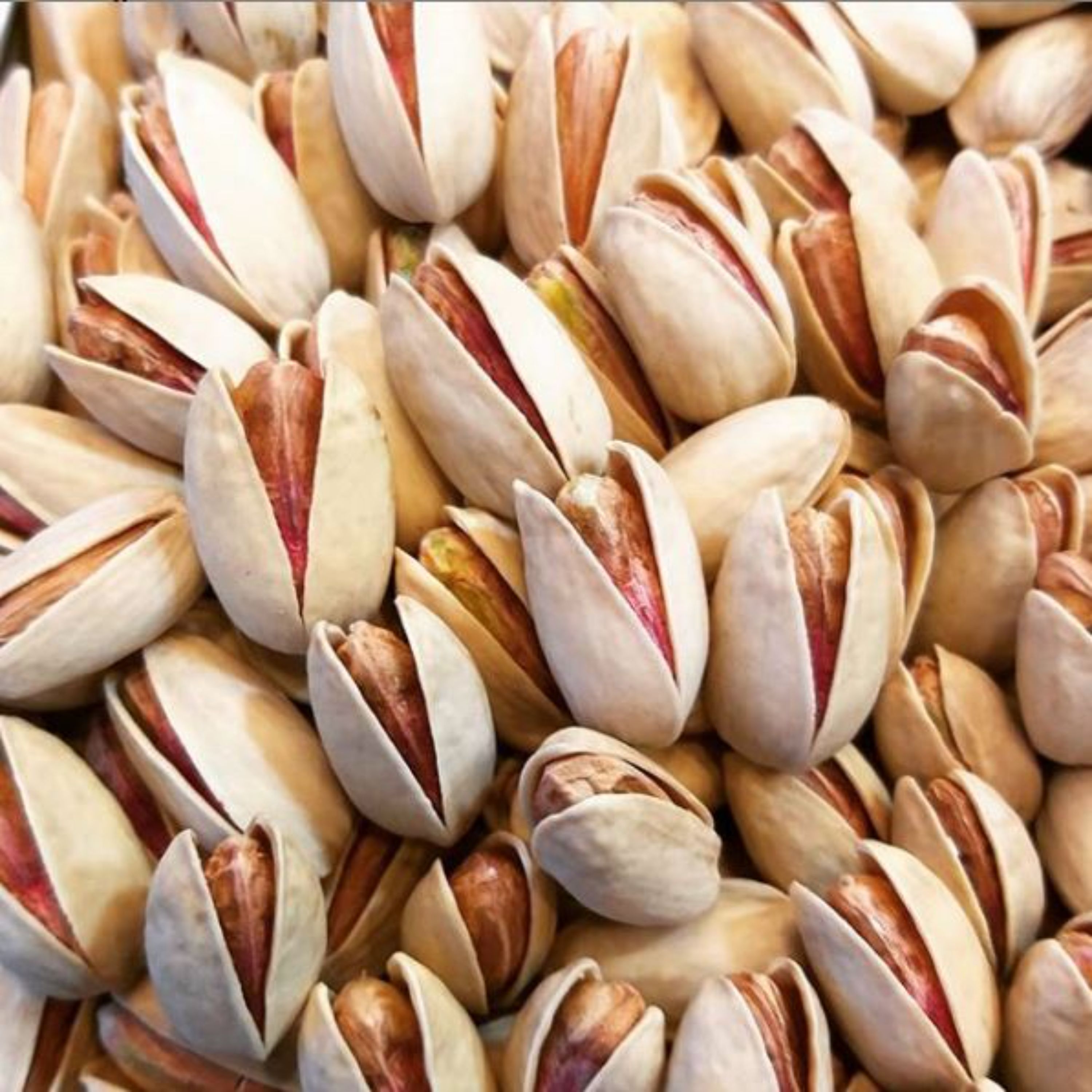 پسته اکبری دست چین تمام خندان 500گرم برداشت آبان 1400