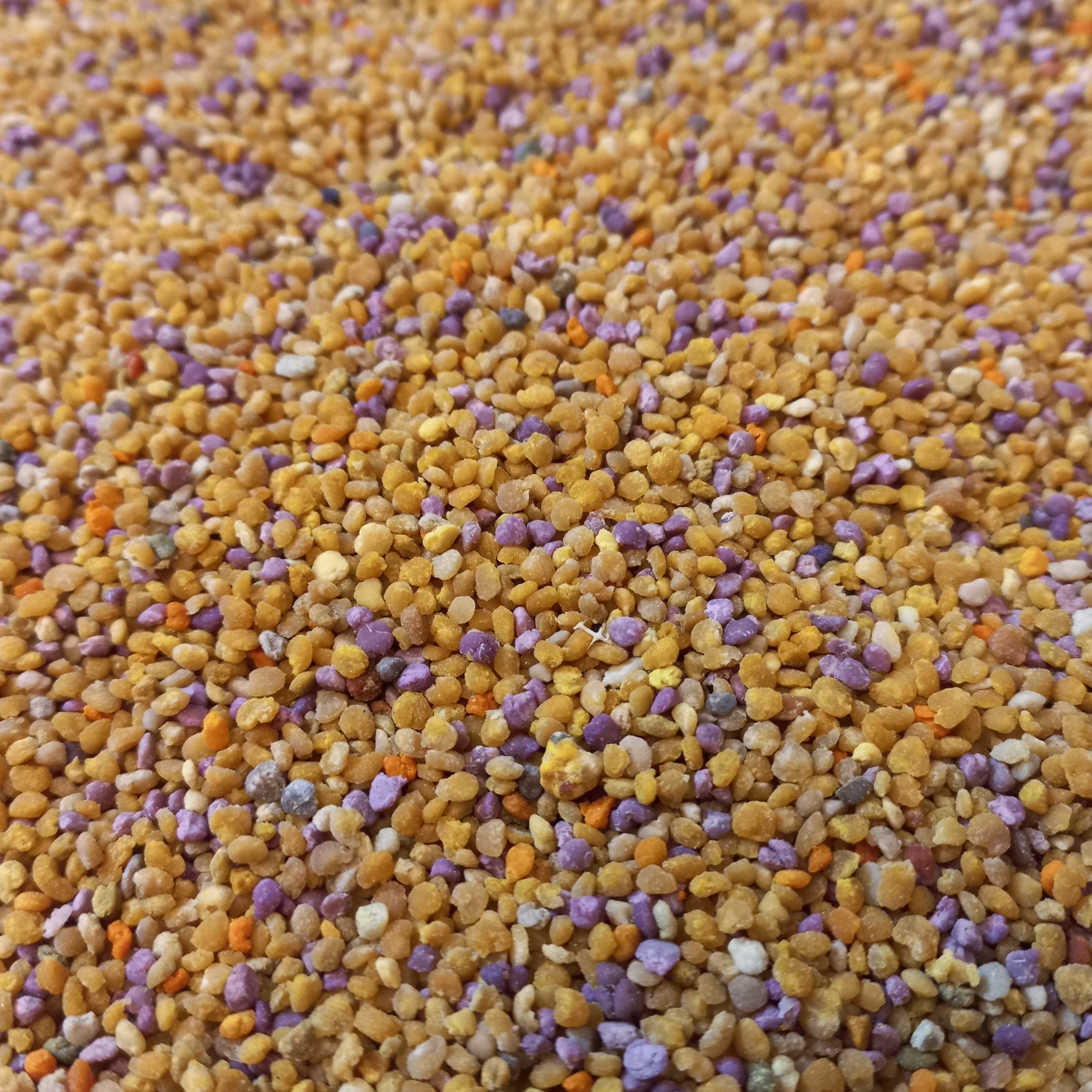 گرده گل با تنوع رنگ بی نظیر(بی واسطه از زنبوردار) پاک شده و الک شده