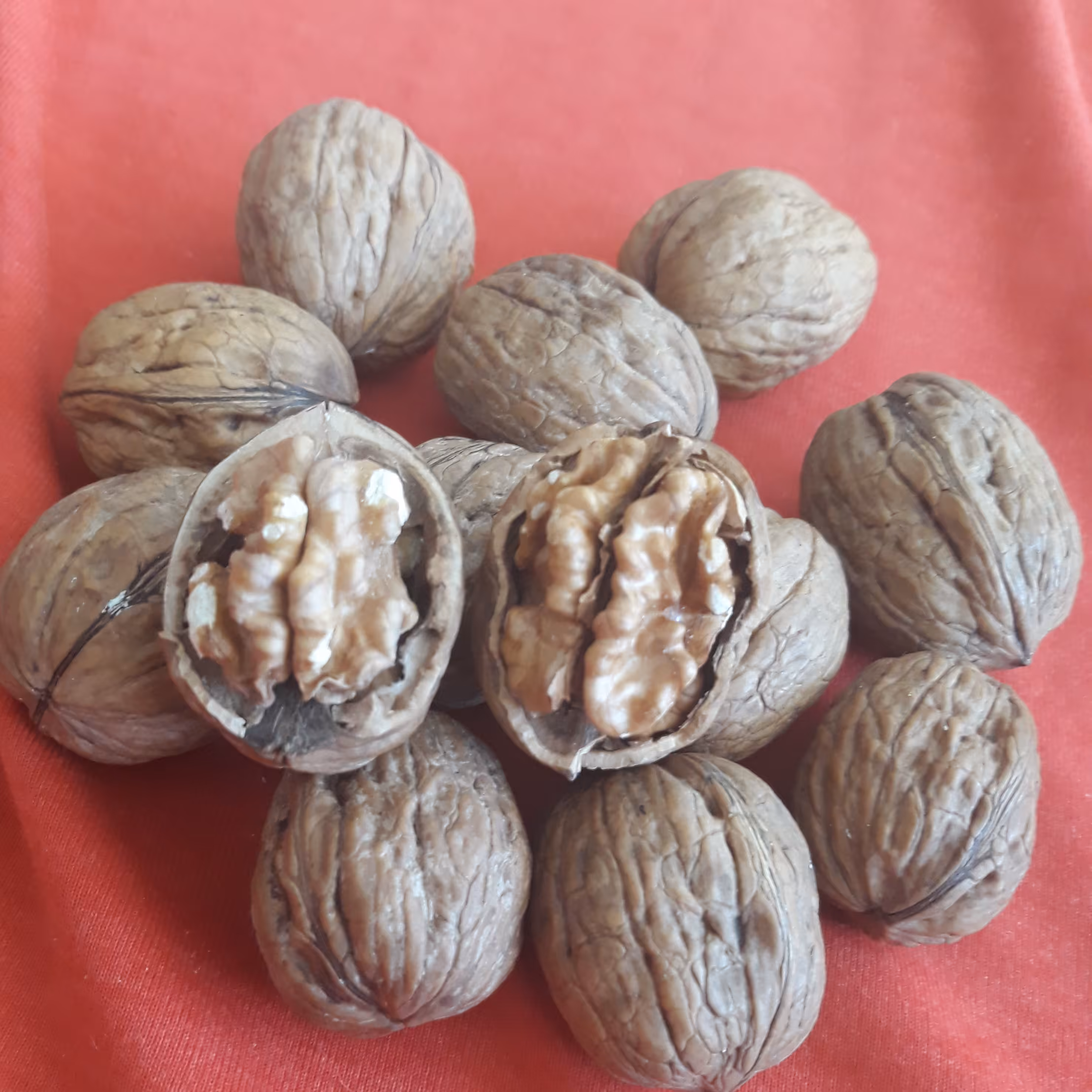 گردو پوست کاغذی (1800گرم)