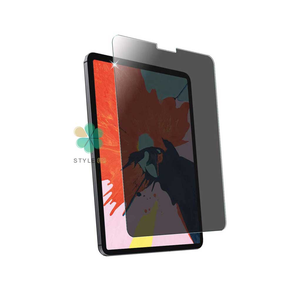 گلس پرایوسی آیپد اپل Apple iPad Pro 11 2020