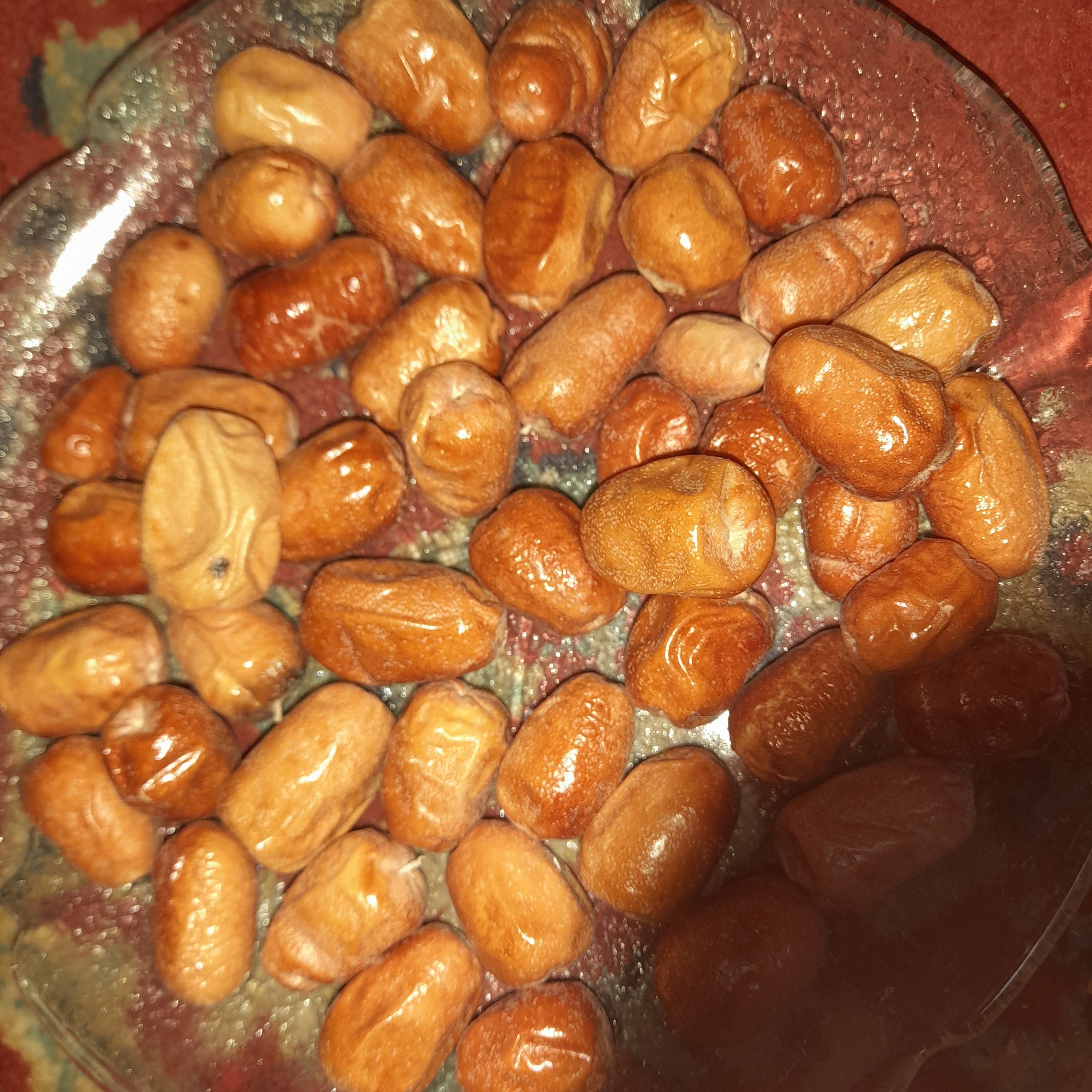 سنجد درشت 