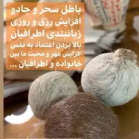 مشک آهو وحشی اصل ناف آهو اصلی ناف اهو وحشی مشک اهو طبیعی مشک اهو خوشبو مسک اهو عنبر اهو خوشبو  اوکراینی بخور مشک اصل
