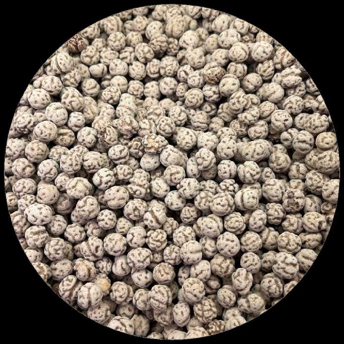 نخودچی کاکائویی اعلا