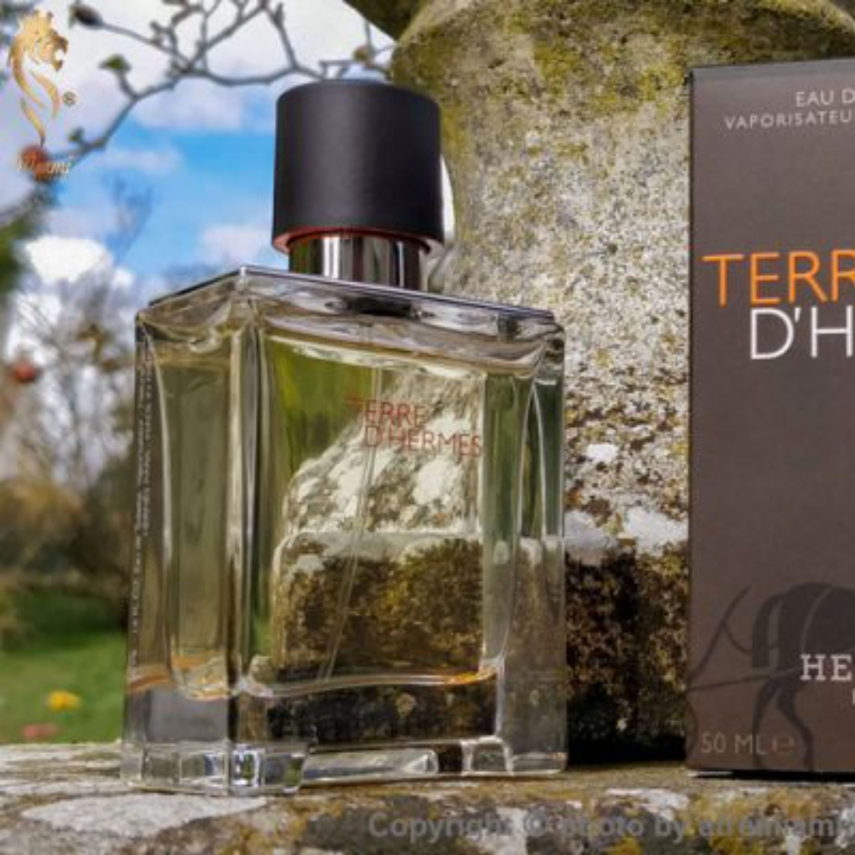 عطر تق هرمس لوزی سوئیس 10 گرمی 