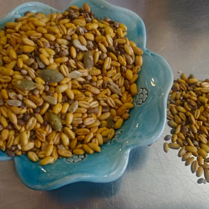 آجیل پنج مغز شب یلدا گندم و شاهدانه و کنجد و مغز تخمه 500 گرمی