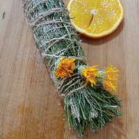 اسماج سرو+رزماری+گل همیشه بهار