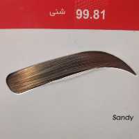 رنگ ابرو دنی وان شماره 99.81 حجم 15 میلی لیتر رنگ شنی