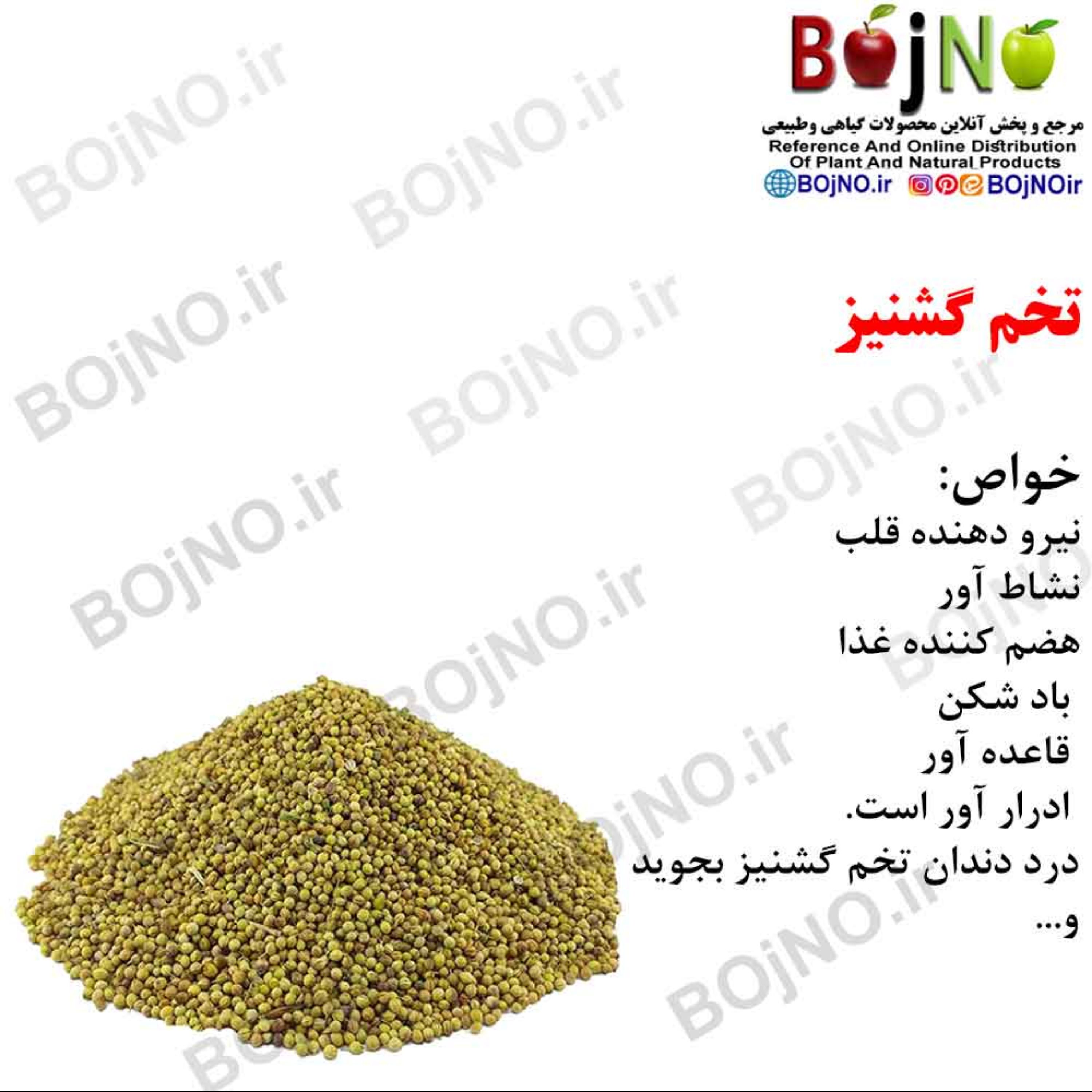 تخم گشنیز(بسته 50گرمی)