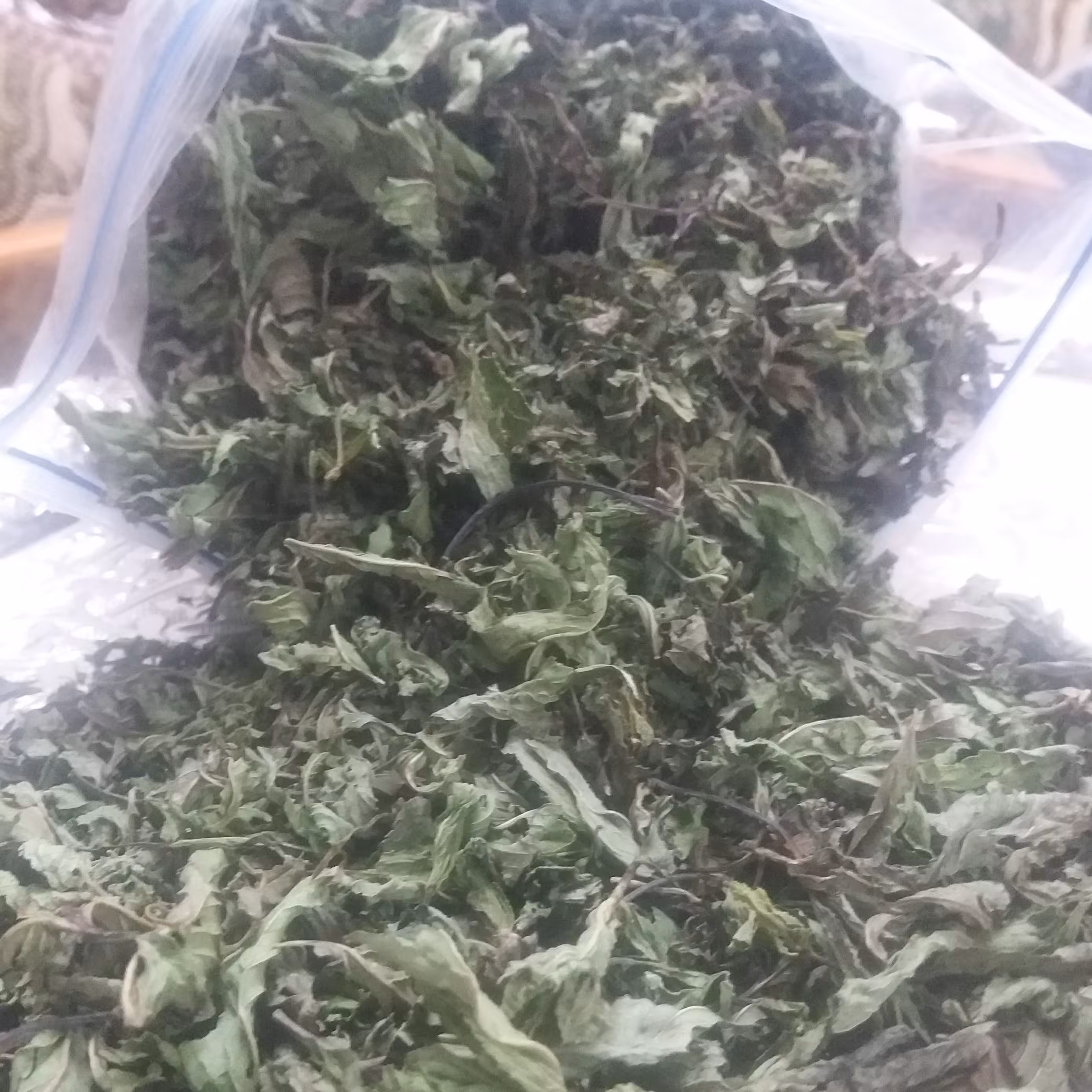 نعنای معطر بروجرد 