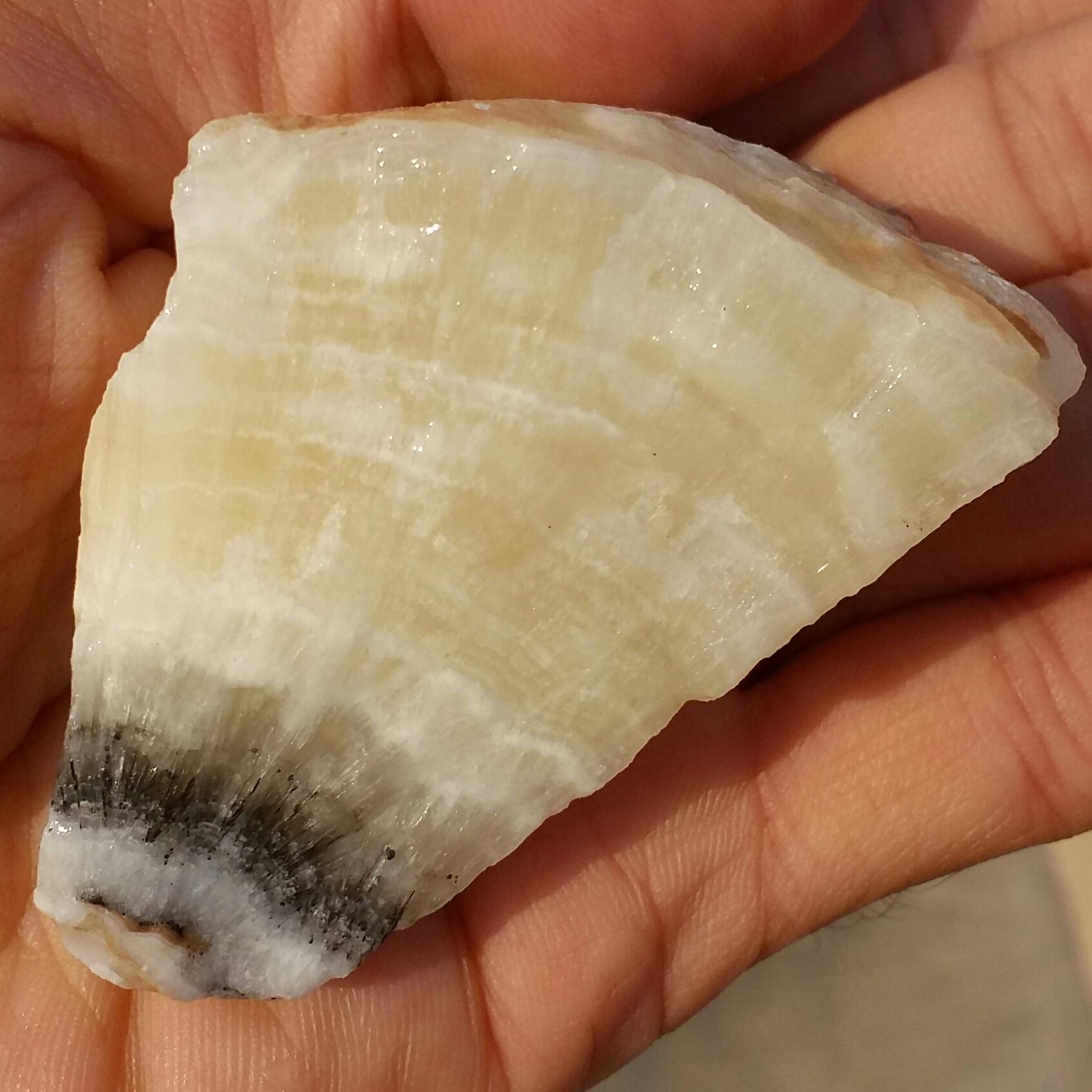 سنگ راف وارداتی آراگونیت زرد بسیار کمیاب  100 در 100 طبیعی  شاهکار خلقت خاص
با قابلیت ساخت چند نگین خاص زیبا کد 7683