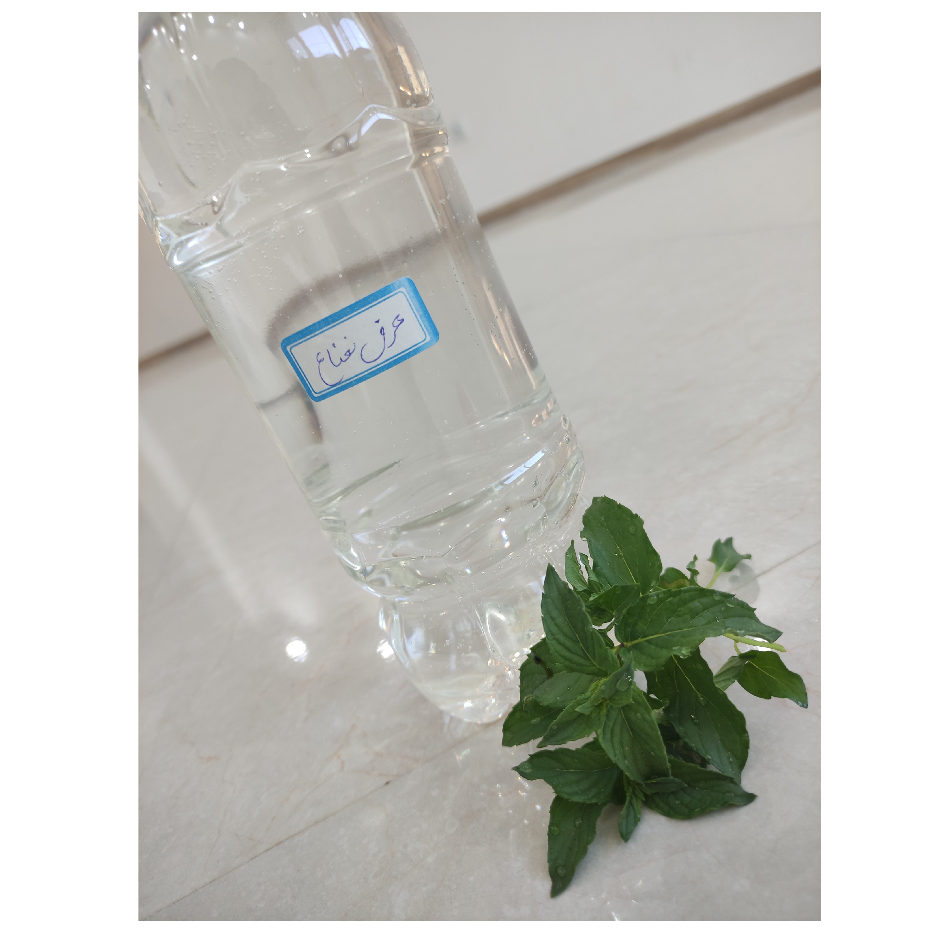 عرق نعناع