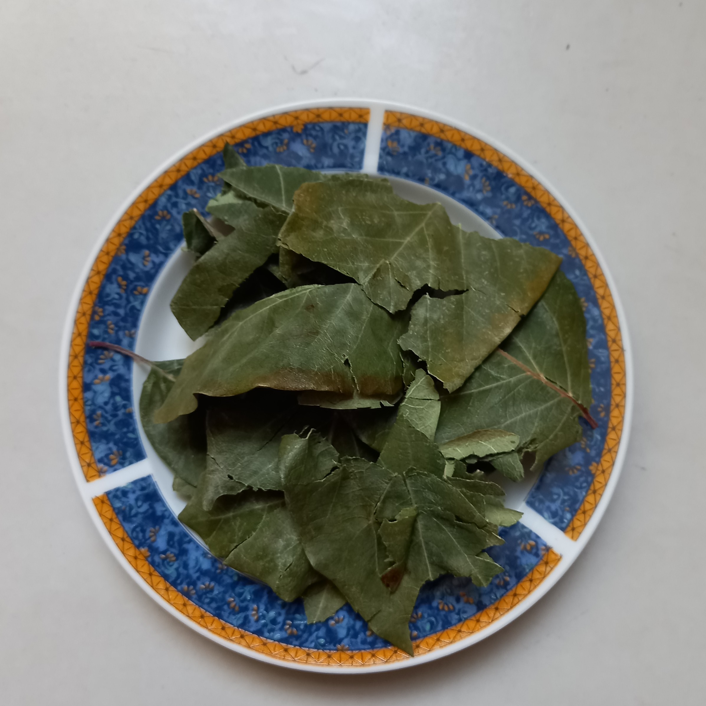 برگ به دشت مغان