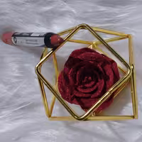 رژ لب 322 مدادی پلادیس ضد آب و بدون سرب