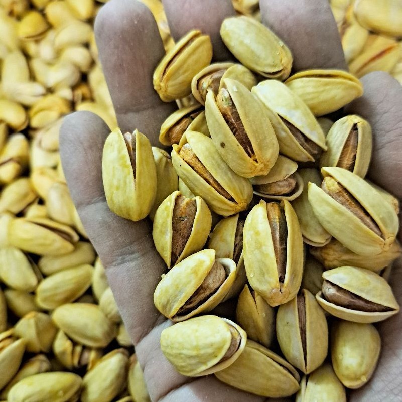 پسته شور اکبری