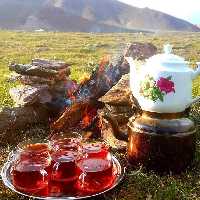 چای  سیاه شکسته  بهاره 1404 (250 گرم )