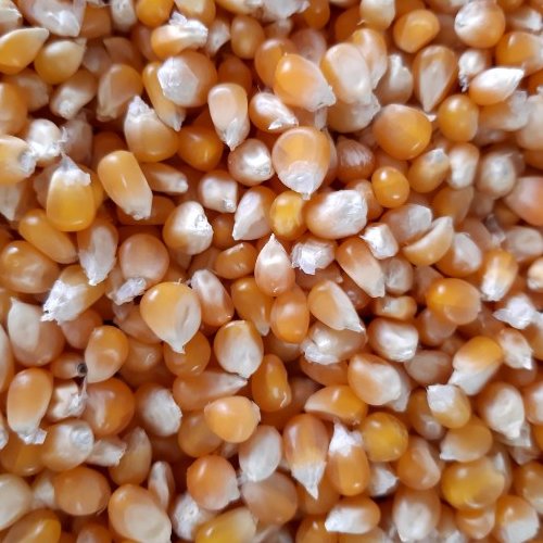دانه ذرت پفیلا،پاپ کورن 300 گرمی