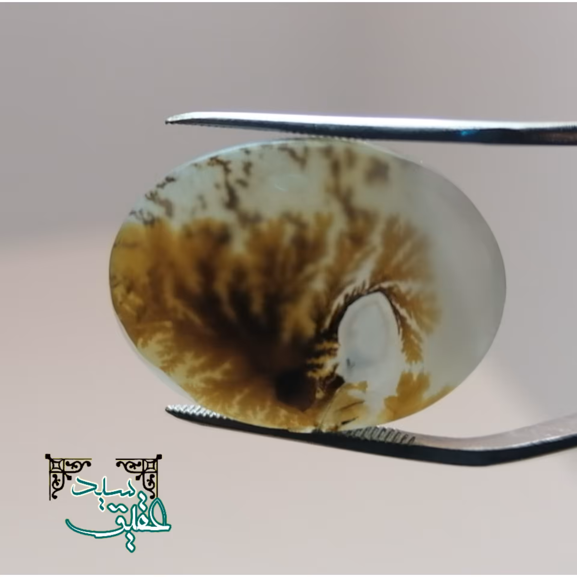 نگین عقیق شجر قواره درشت اصل