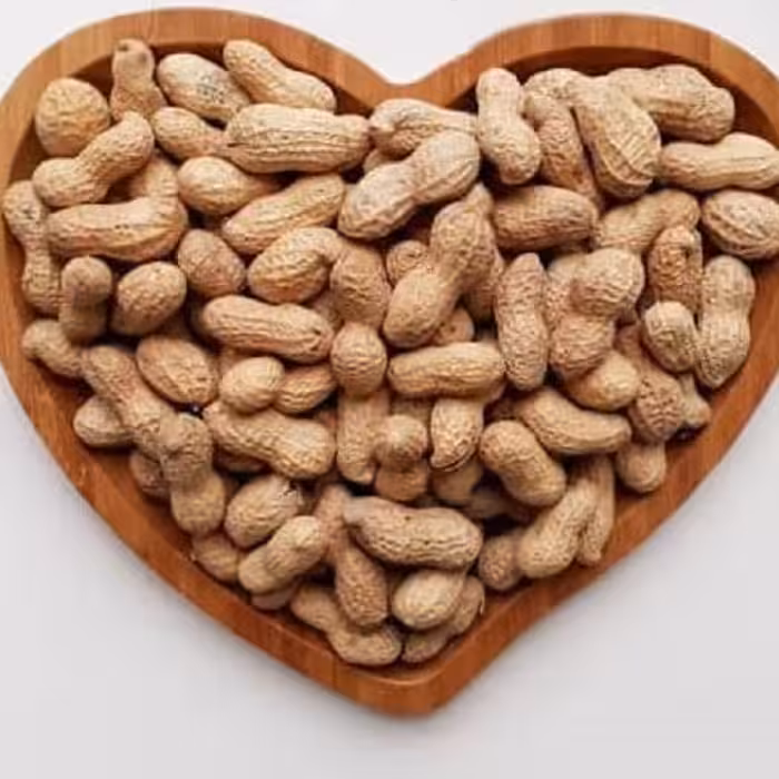 بادام زمینی غلافدار خام تبرک مغان درجه یک و لوکس امسال عمده ، با غلاف