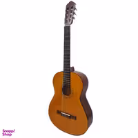 گیتار مدل Rodrigers Ak80 کد 1001