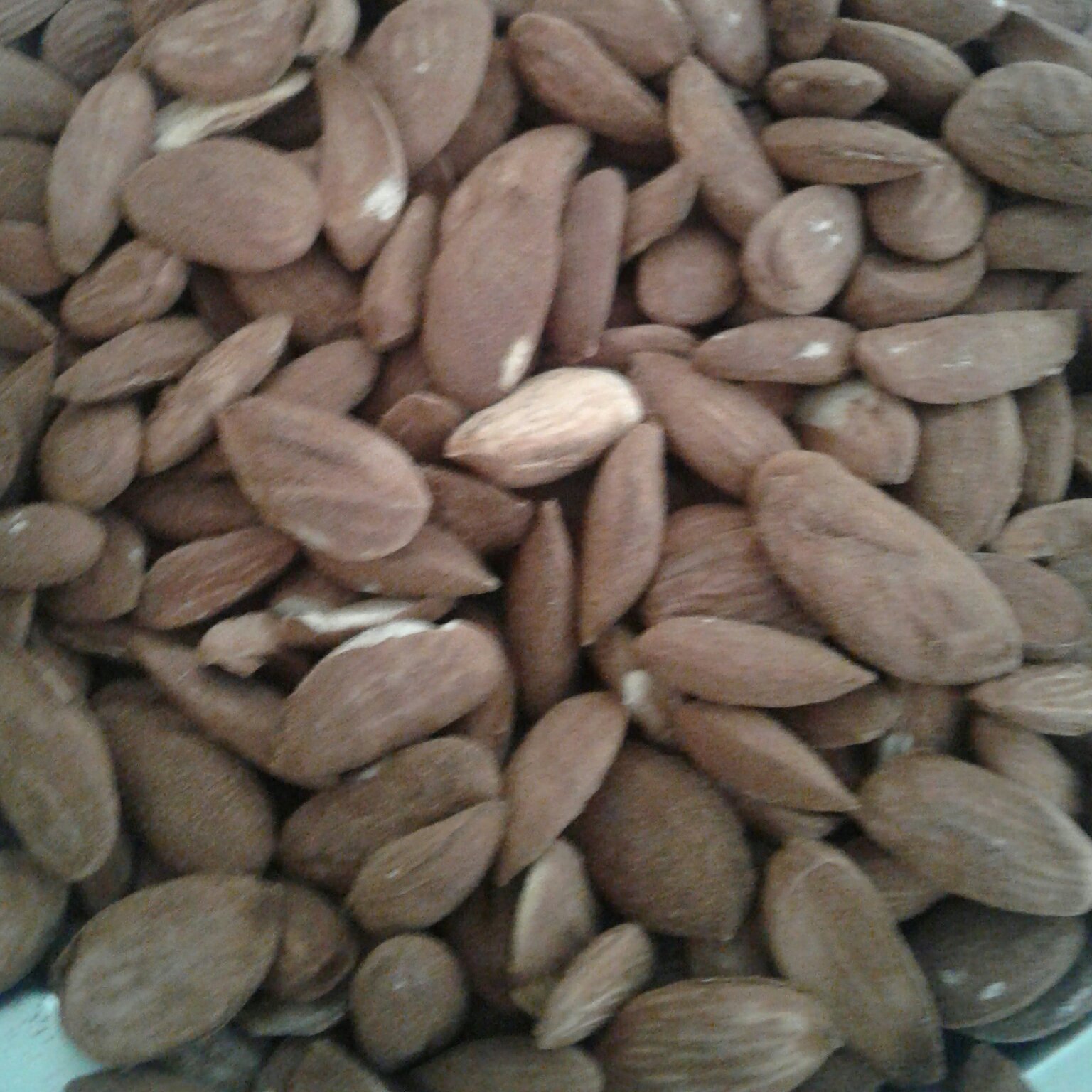 مغز بادام ایرانی بو داده و کم نمک یک کیلویی