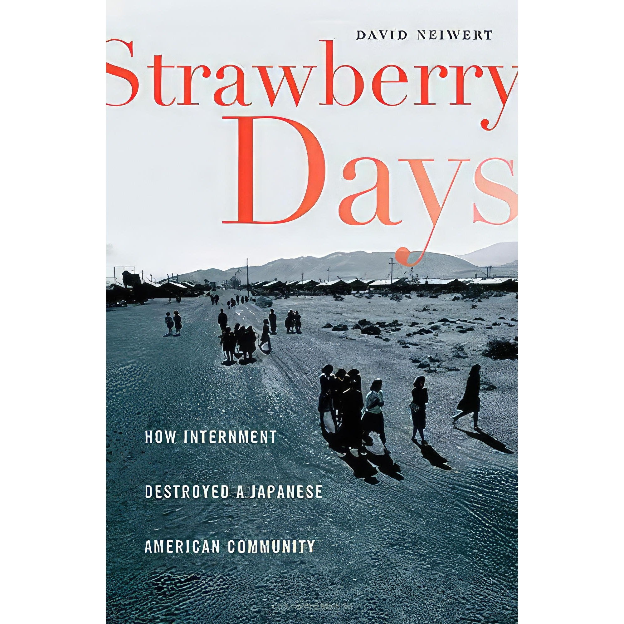 کتاب زبان اصلی Strawberry Days اثر David A Neiwert انتشارات St Martins Press
