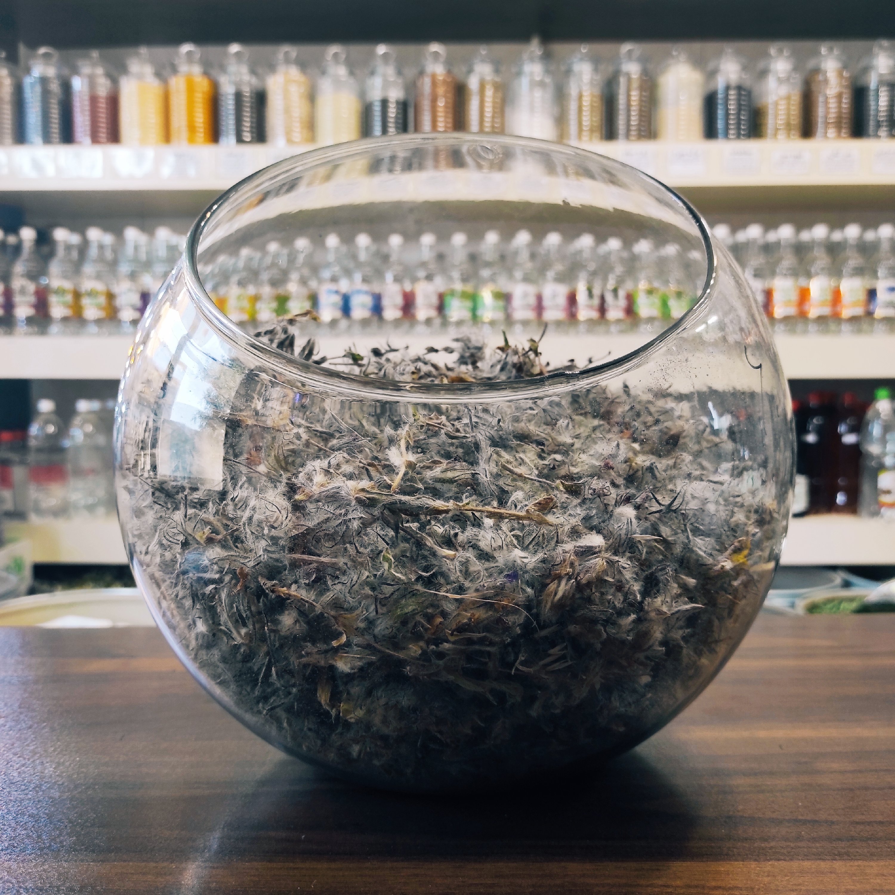چای کوهی (تقویت سیستم ایمنی _ بهبود دستگاه تنفسی _ کنترل فشار خون)