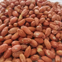 بادام زمینی آستانه درشت و اعلاء (1 کیلویی) 