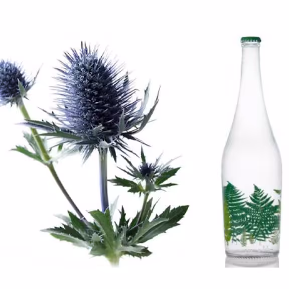 عرق بوقناق  یک لیتری کنترل  قند خون، پاکسازی کبد