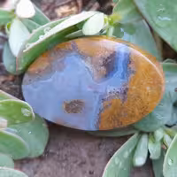 نگین جاسپر  زرد