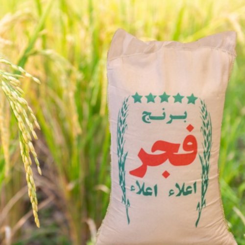 برنج فجر سوزنی گرگان اعلاء 5 کیلویی