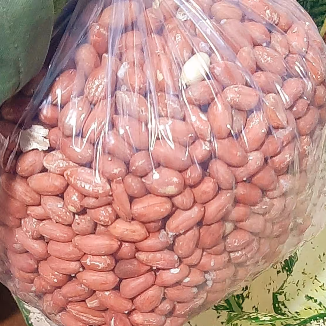 بادام زمینی اعلاء آستانه اشرفیه(سورتینگ شده درشت ومجلسی)کیلویی300000تومان