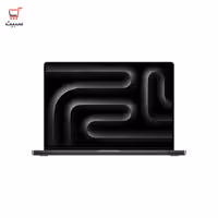 لپ تاپ 16 اینچی اپل مدل MacBook Pro MX303 2024 Black