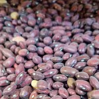 بهترین قیمت لوبیا قرمز محلی یک کیلویی با بهترین کیفیت